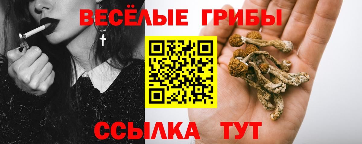 Родники  Галлюциногенные грибы Cubensis  Псилоцибиновые грибы Magic Shrooms  Вход с VPN 